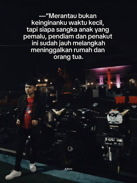 LICIN4D