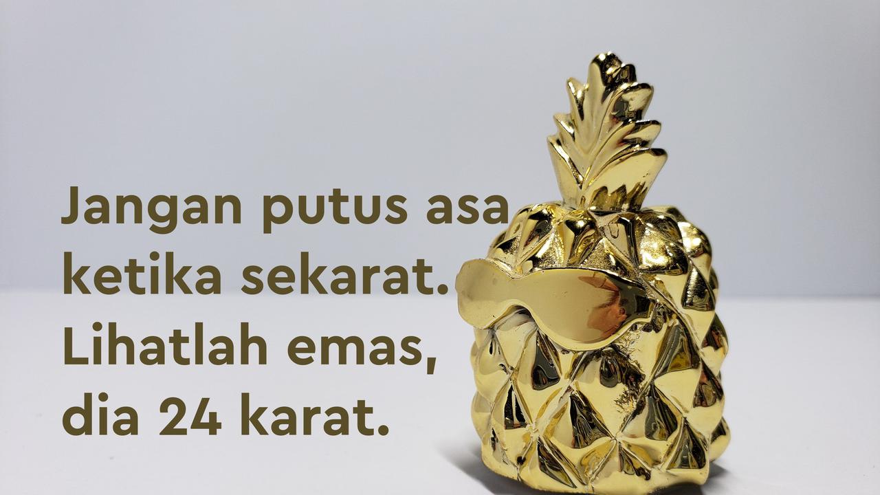 PUCUK4D > Situs Agen Toto 4D Terbaik SusieHammer Gacor Sangat Bernilai