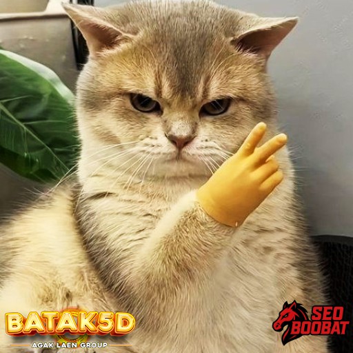 Collage of Elements items